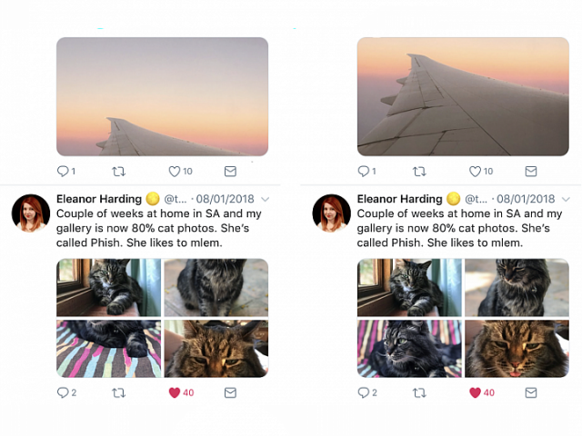 5 Fun Facts about Twitter 6 twai