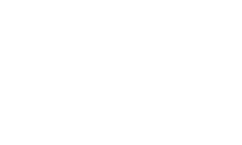 CRM & Loyalty Engine 2 dior2