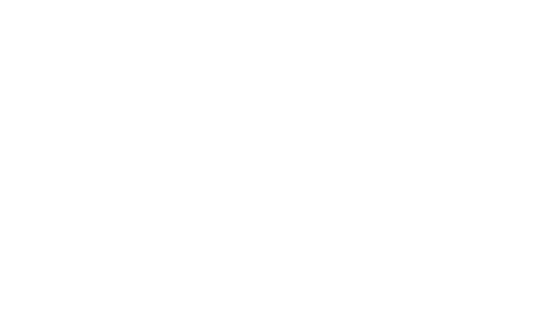 CRM & Loyalty Engine 5 jetstar 1