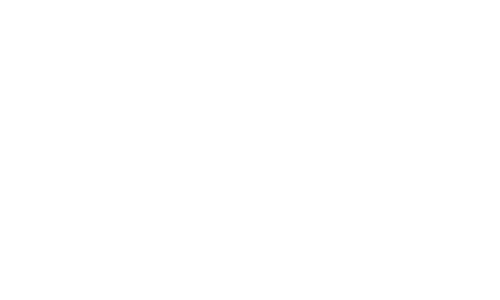 lanage 1