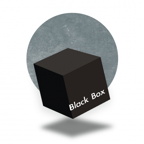 BlackBoxWordPress 20